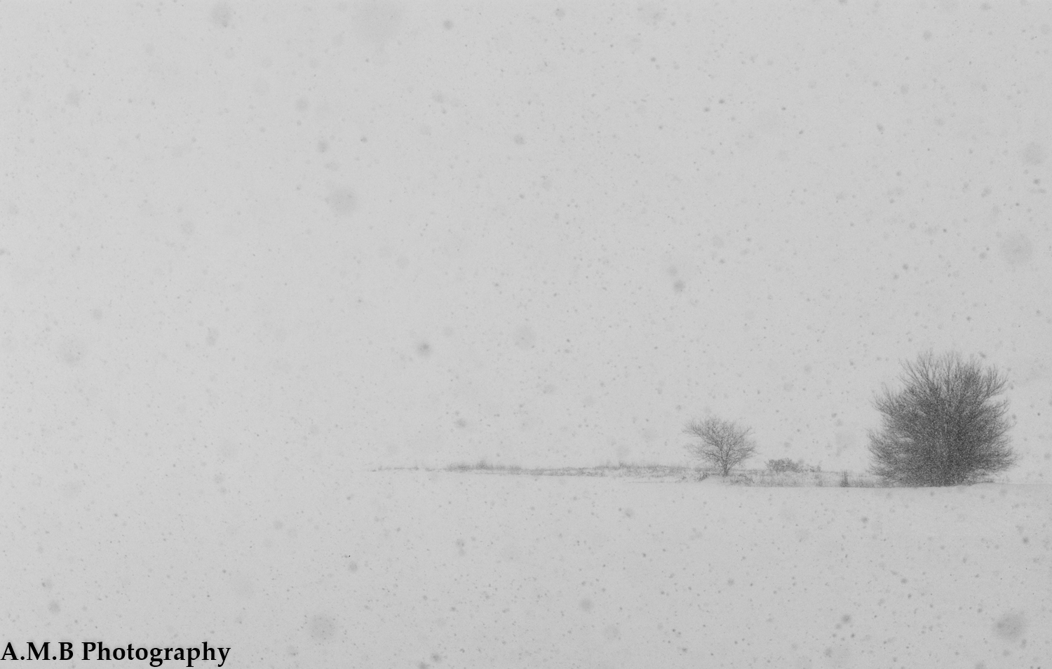 Country Snow in Black and White