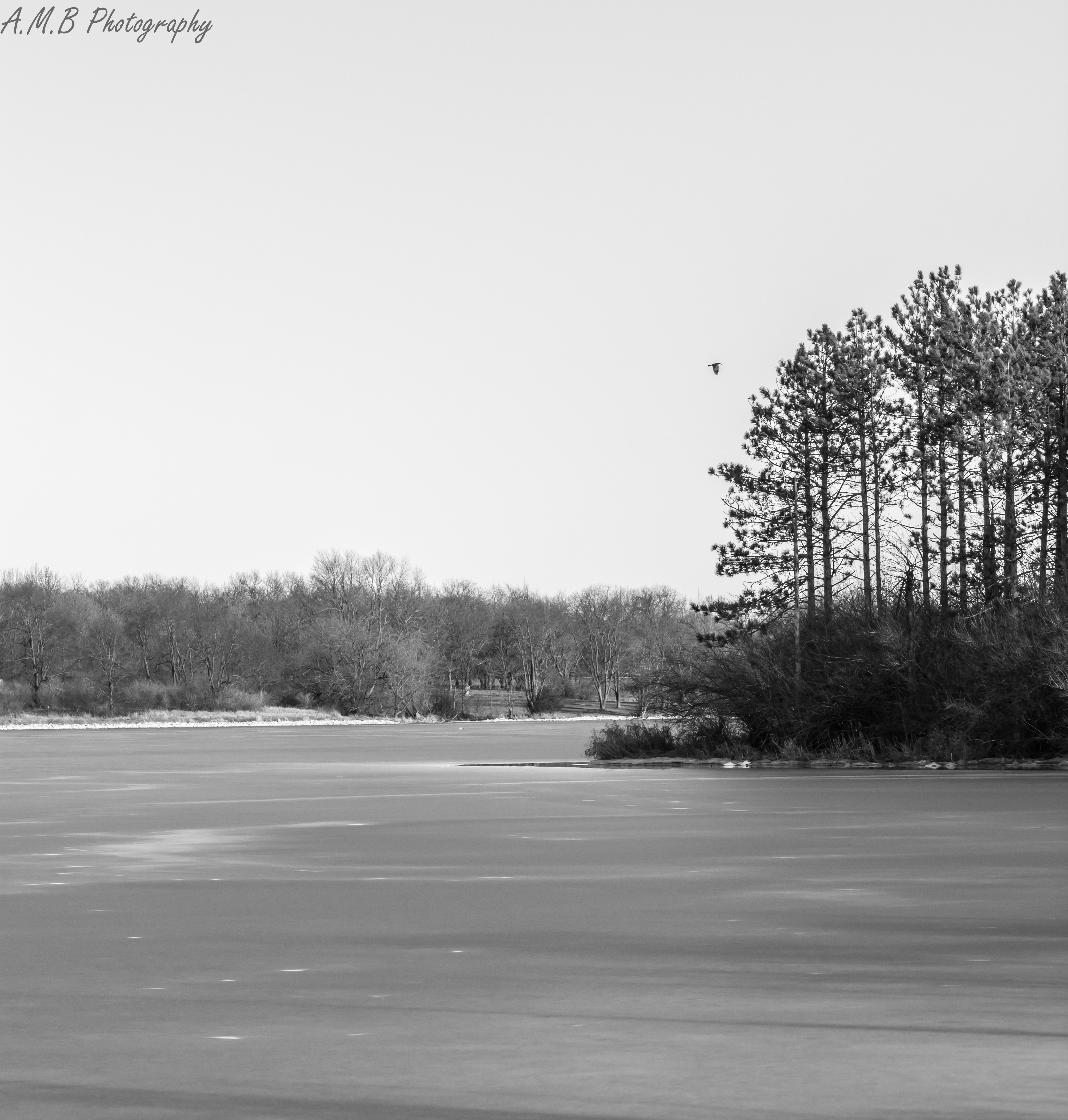 Evergreen Lake in Black and White