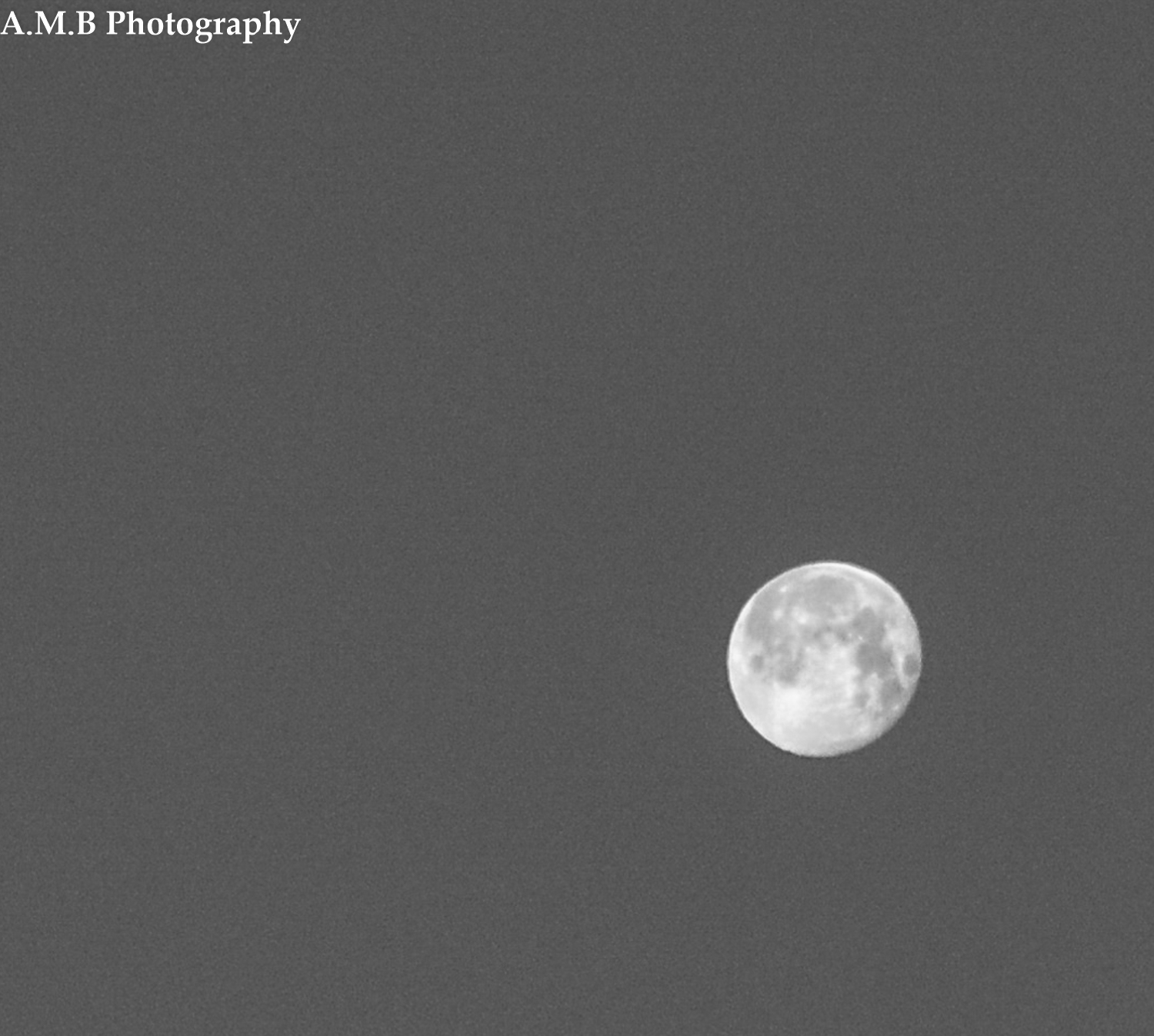 Full Moon Remnants in Black and White