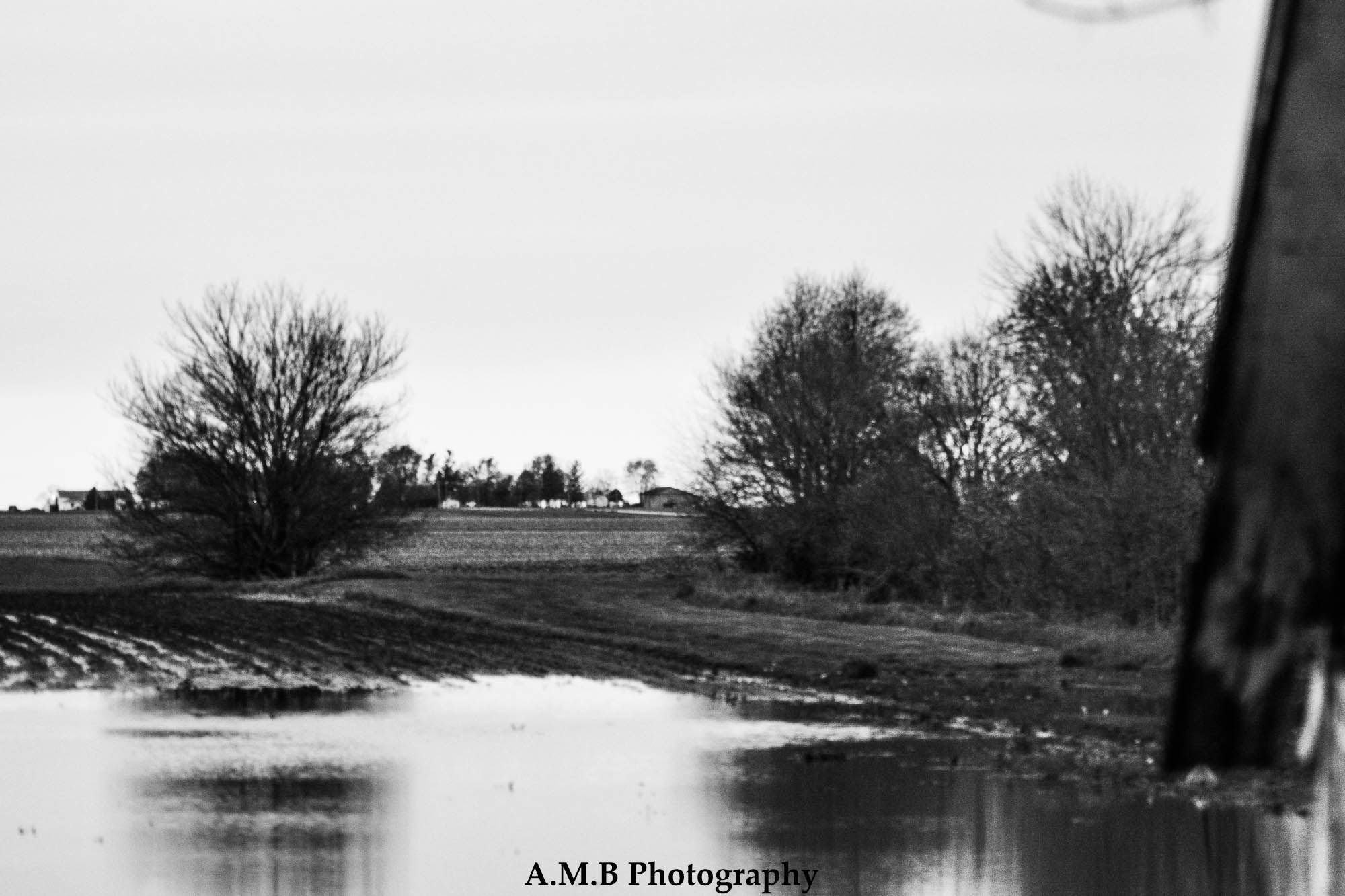 Spring Flood in Black and White