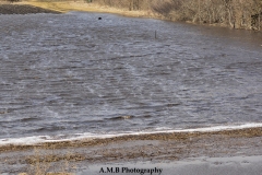 Flooded Field III