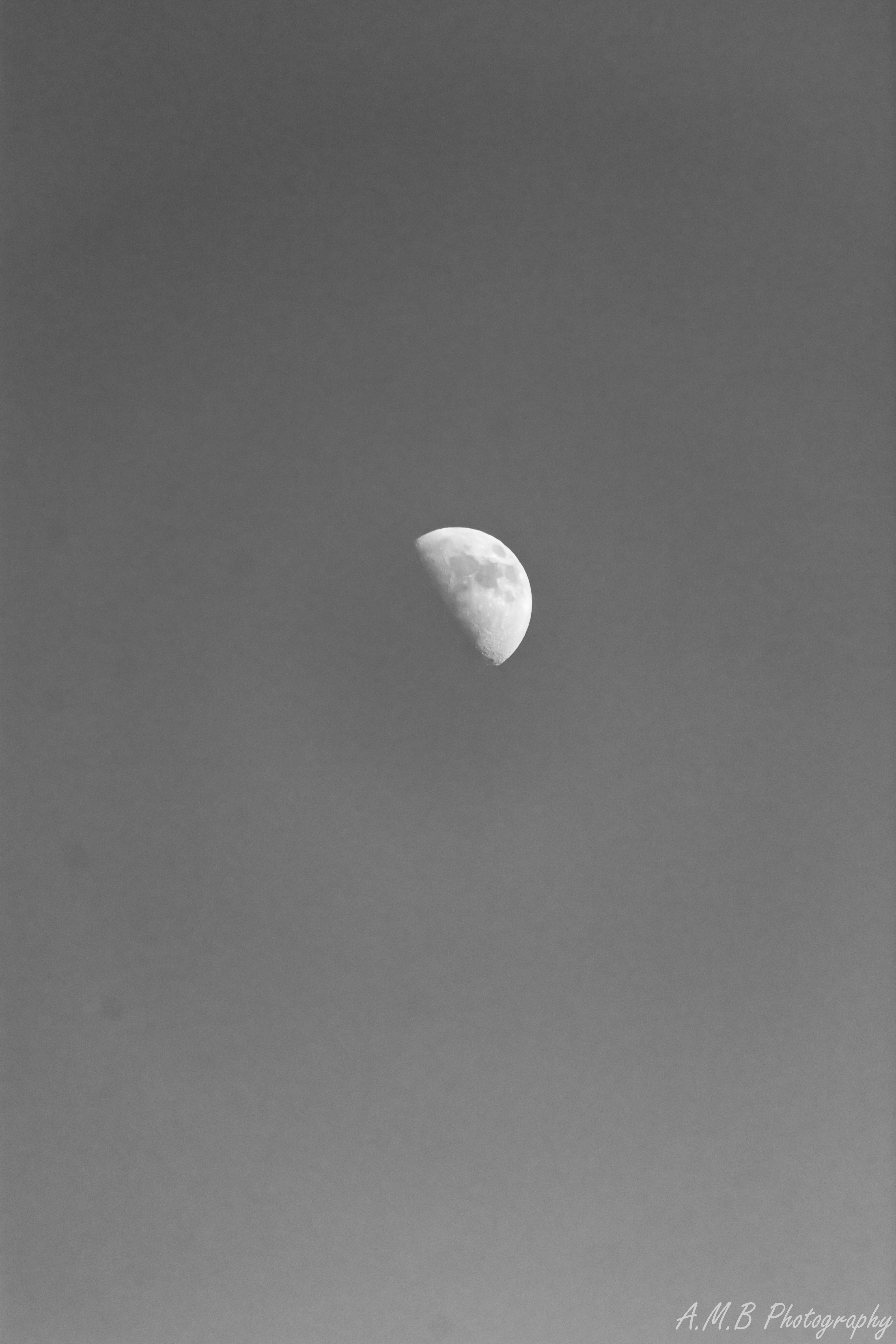 1st Quarter Moon in Black and White II