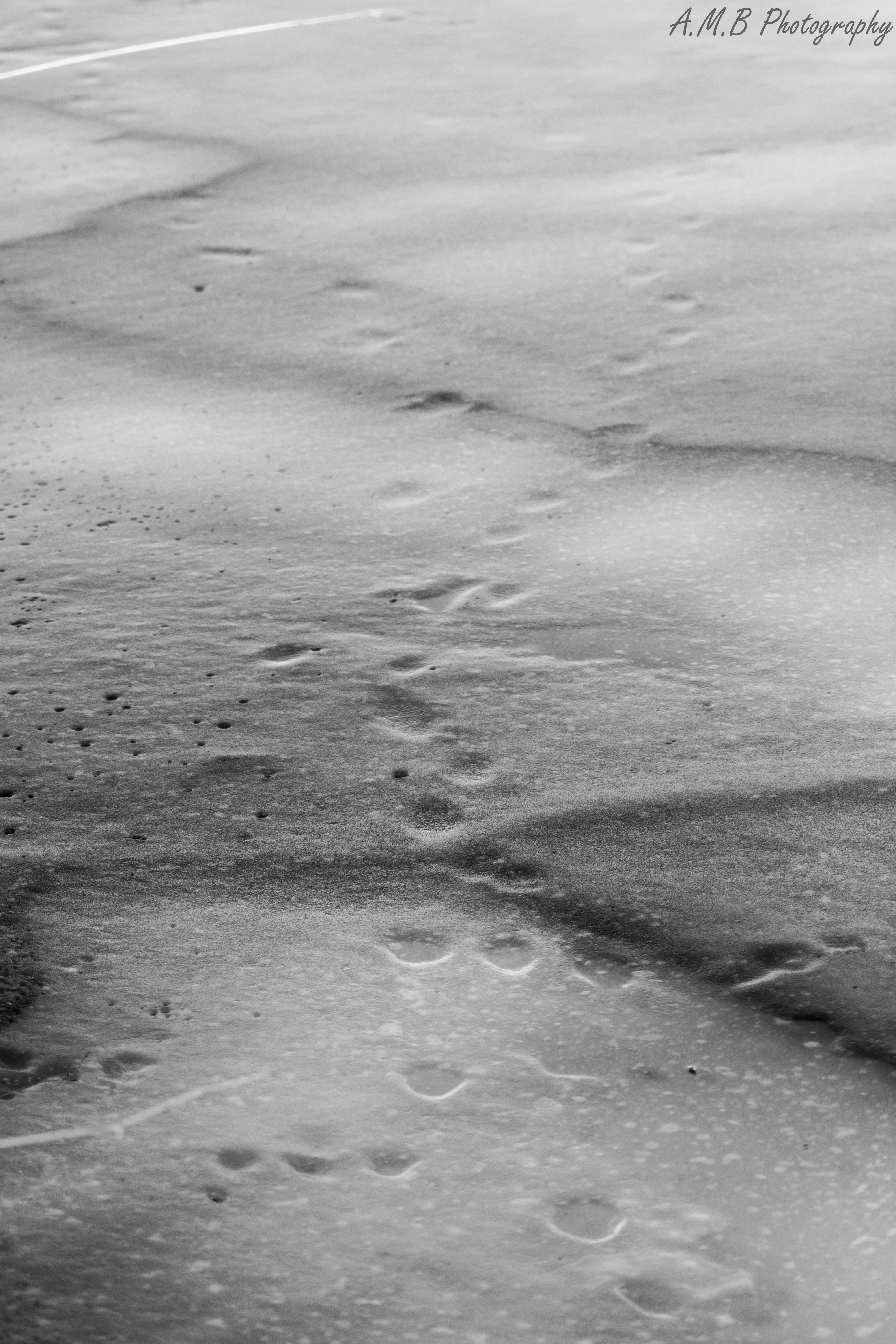 Icy Footprints