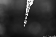 Black and White Icicle
