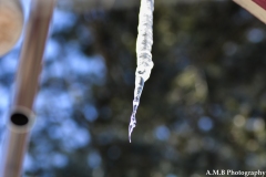 Chiming Icicle