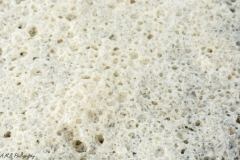 Tybee Island Sea Foam